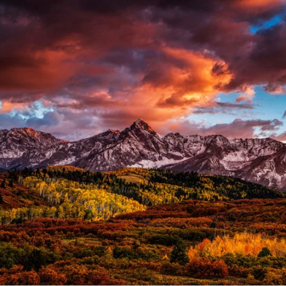 Meet your Posher, Leo